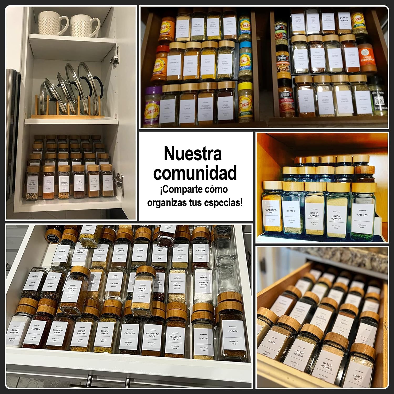 24 Tarros de Especias de Vidrio